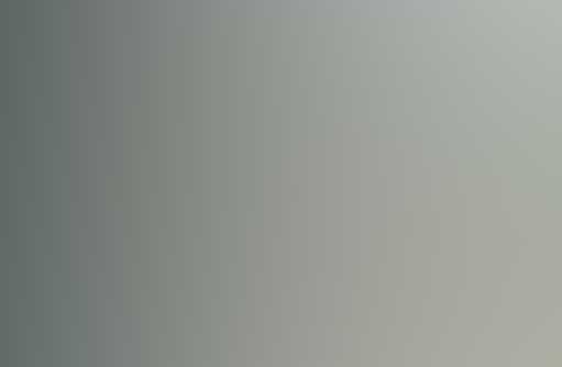 【苹果版】流畅的网站攻击手段